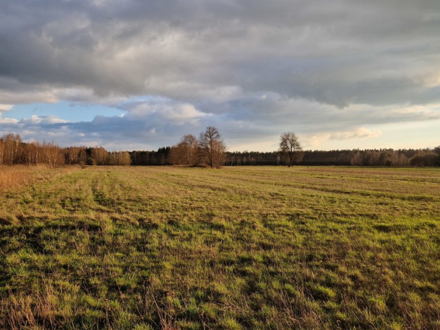 Działka Sprzedaż Jaźwiny