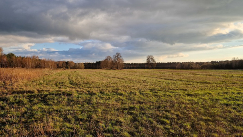 Działka Sprzedaż Jaźwiny