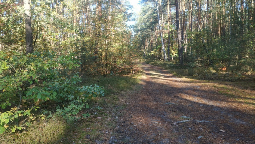 Działka Sprzedaż Otwock Soplicowo Protazego