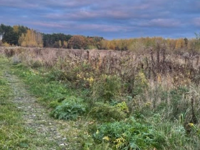 Działka o pow. 7000 m2 w Sierakowie, media.