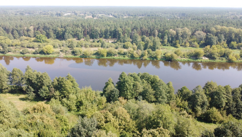 Działka Sprzedaż Paulinowo Królowej Bony