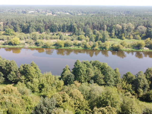 Działka Sprzedaż Paulinowo Królowej Bony