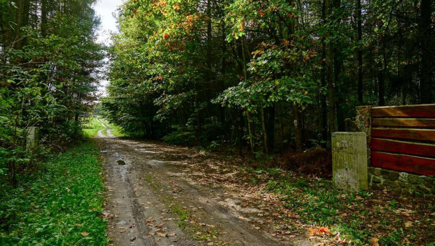 Działka Sprzedaż Waleriany