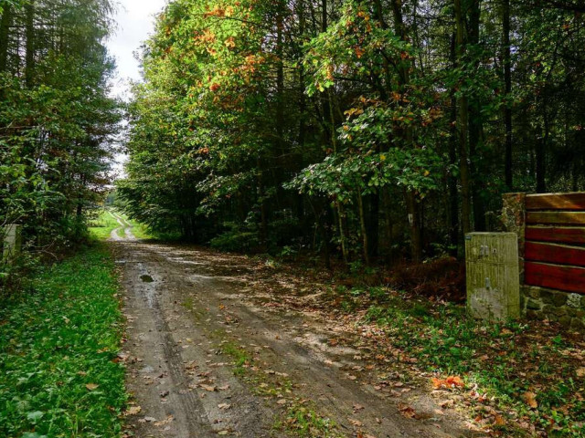 Działka Sprzedaż Waleriany