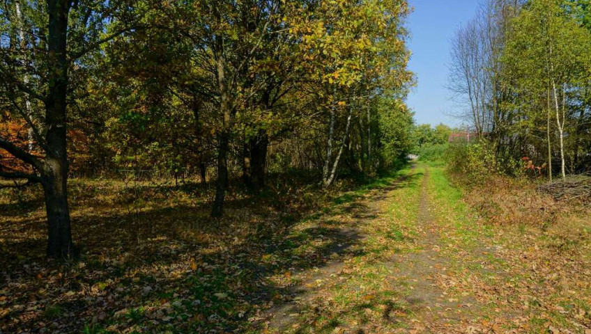 Działka Sprzedaż Puszcza Mariańska Akacjowa