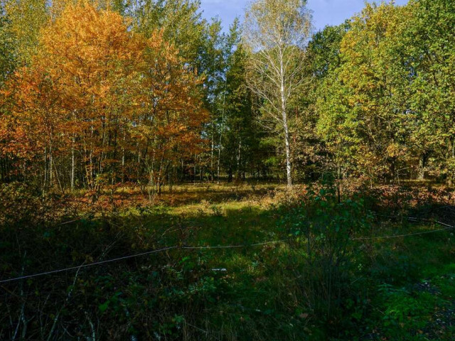 Działka Sprzedaż Puszcza Mariańska Akacjowa