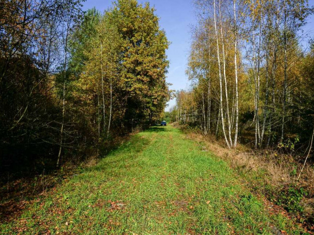 Działka Sprzedaż Puszcza Mariańska Akacjowa