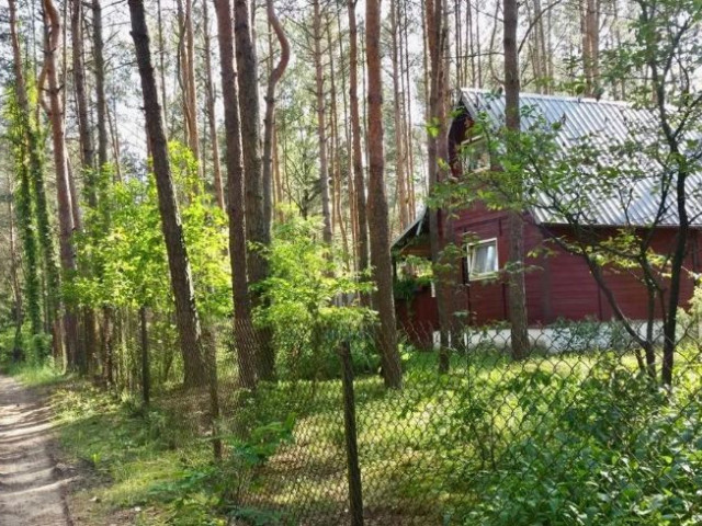 Drewniany dom letniskowy położony w lesie.