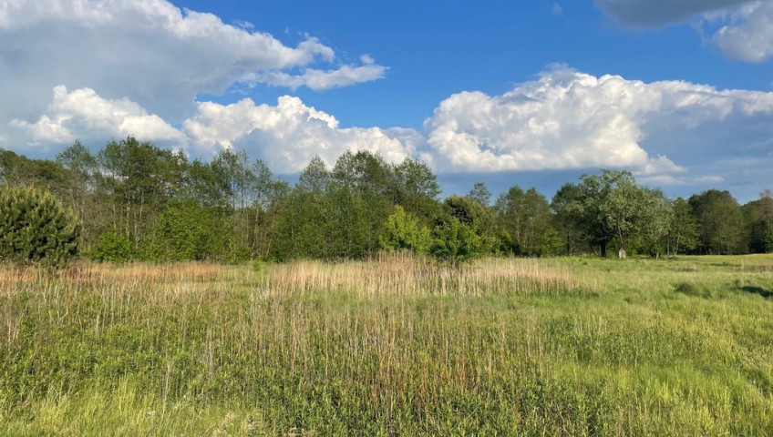 Działka Sprzedaż Arciechów