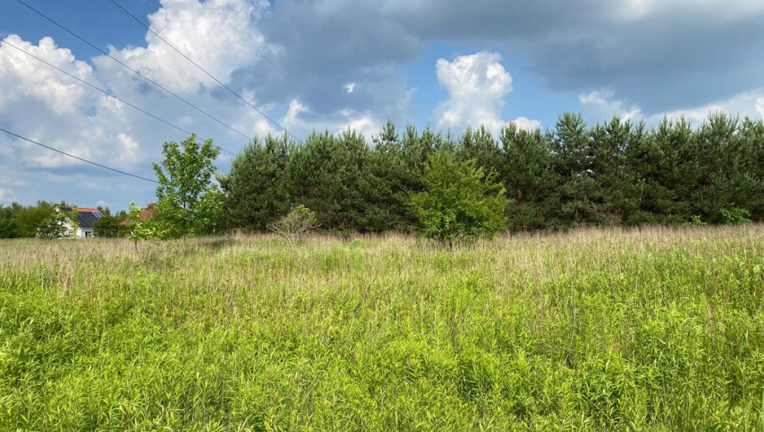 Działka Sprzedaż Wąsy-Kolonia