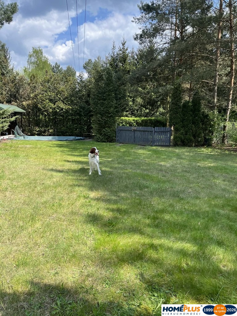 Dom Sprzedaż Arciechów
