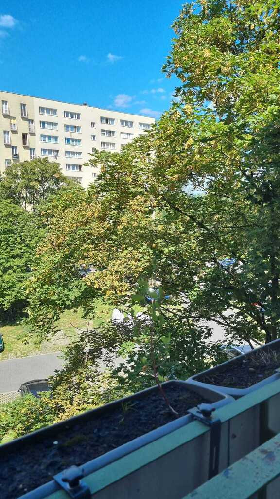 Mieszkanie Sprzedaż Warszawa Bielany Dorycka
