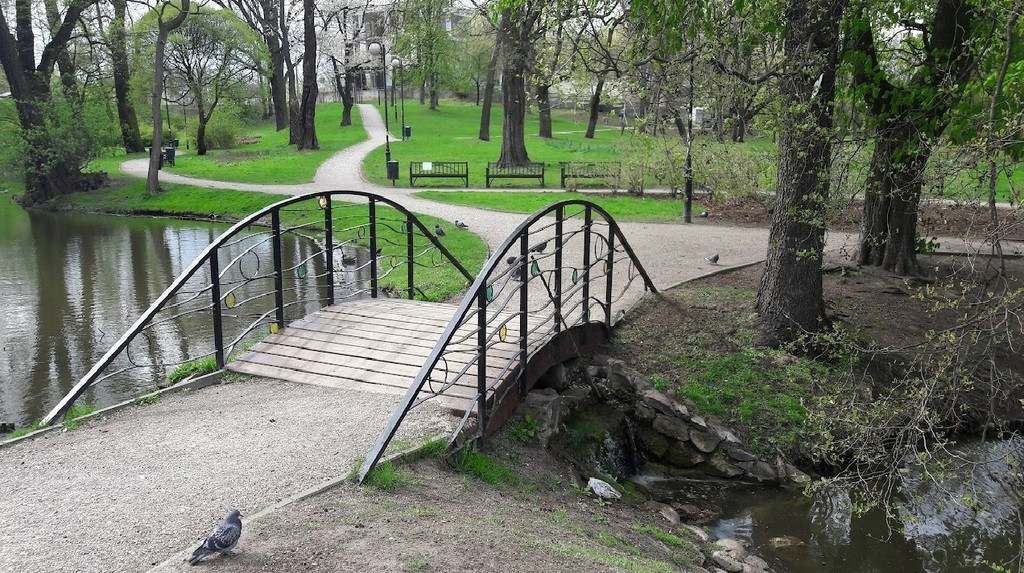 Mieszkanie Wynajem Warszawa Żoliborz Zabłocińska