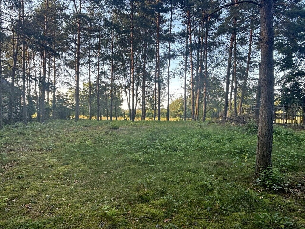 Działka Sprzedaż Ruda