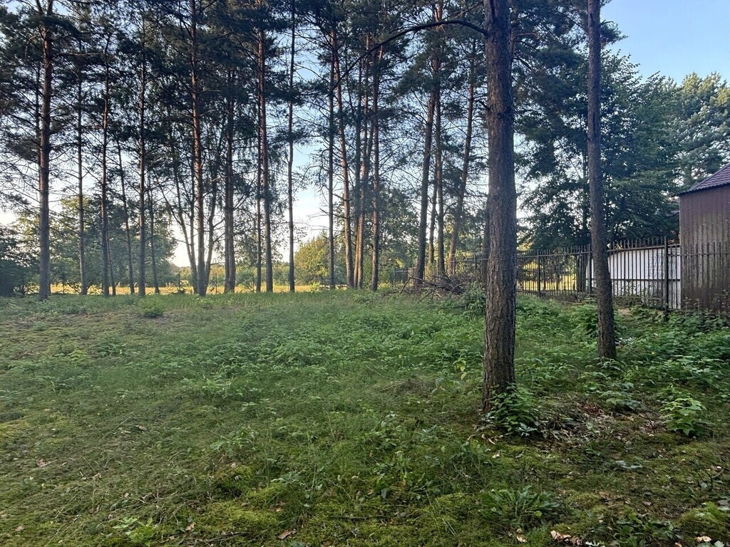 Działka Sprzedaż Ruda