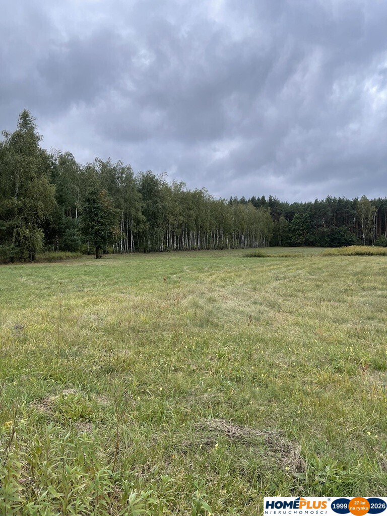 Działka Sprzedaż Sieraków