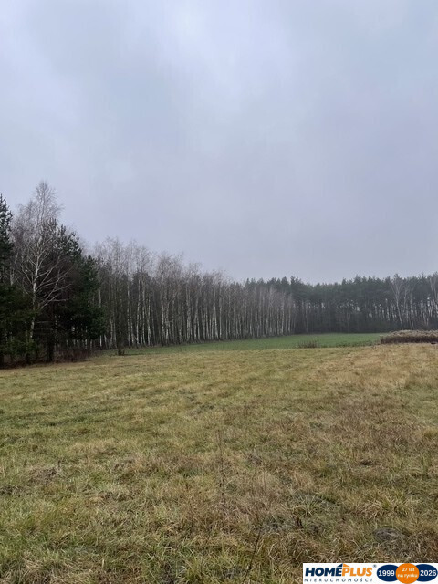 Działka Sprzedaż Sieraków