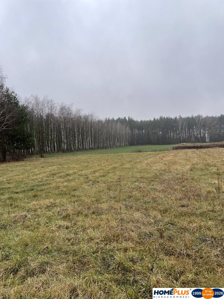 Działka Sprzedaż Sieraków
