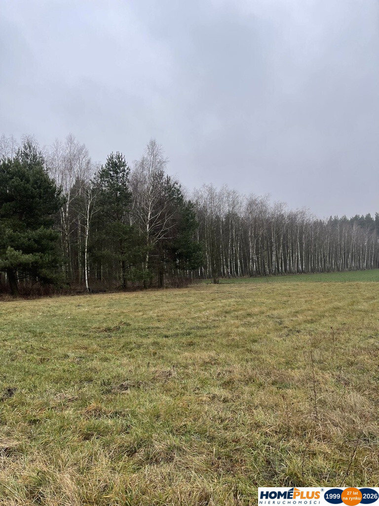 Działka Sprzedaż Sieraków