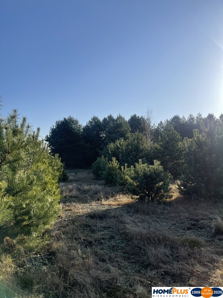 Działka Sprzedaż Ruda