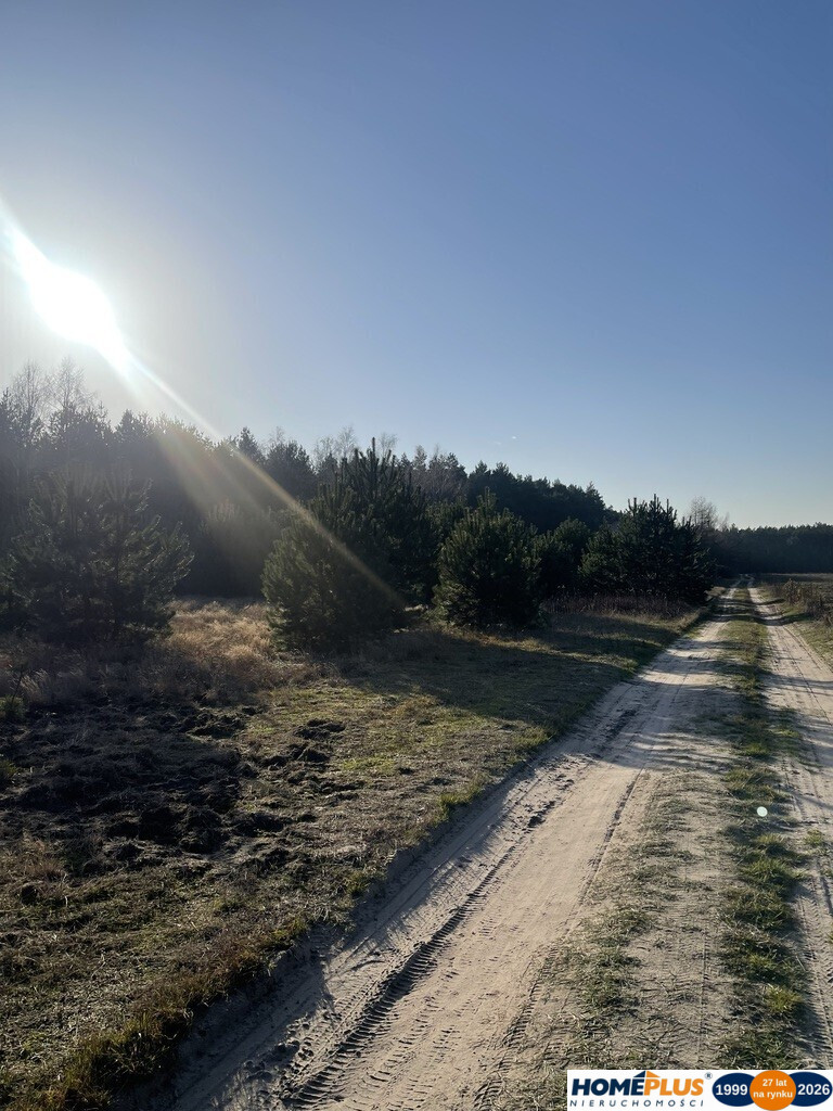 Działka Sprzedaż Ruda