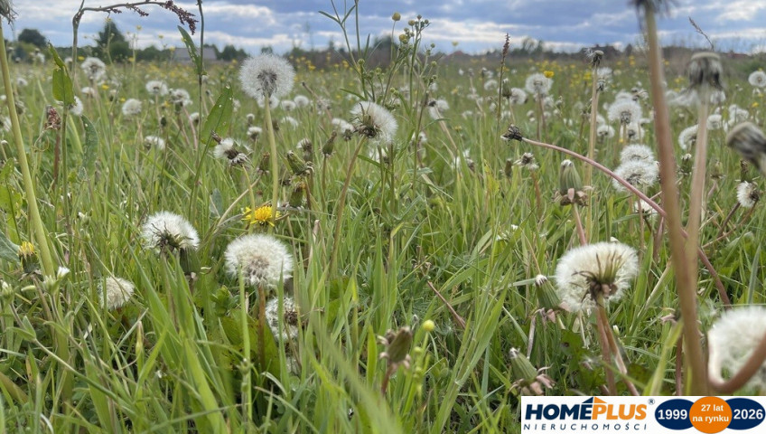Działka Sprzedaż Ciemne