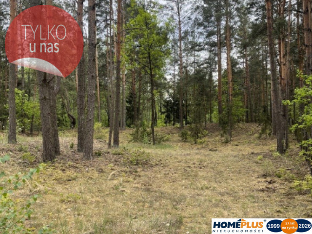 Działka w lesie 2064 m² - letniskowa i całoroczna