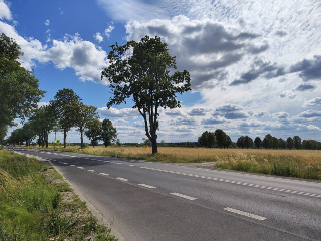 Działka WZ na 4 domy blisko Narwi 35km od Warszawy