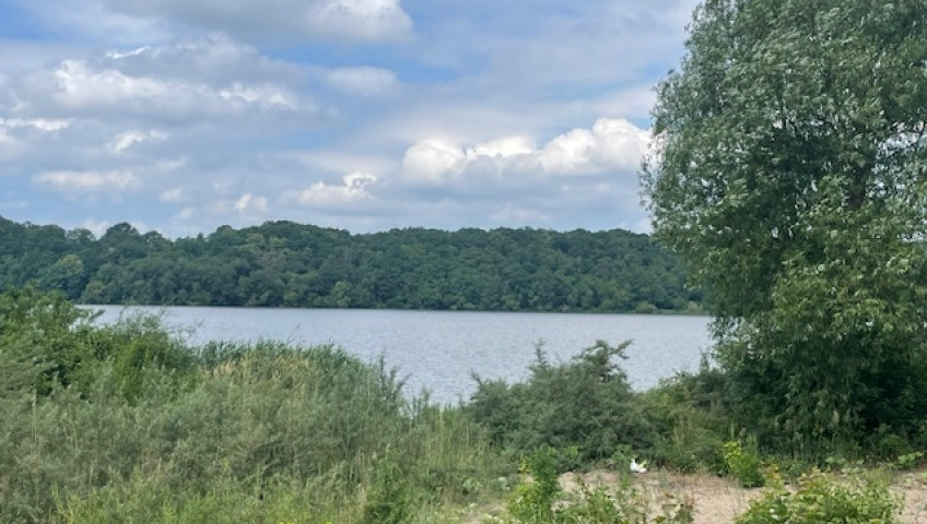 Działka Sprzedaż Arciechów