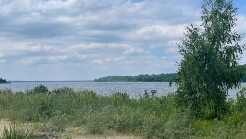 Działka Sprzedaż Arciechów