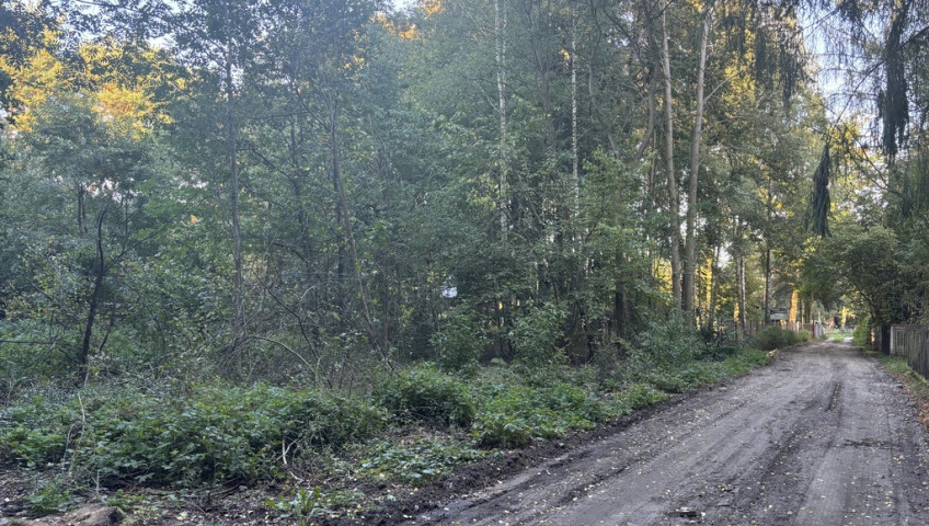 Działka Sprzedaż Arciechów